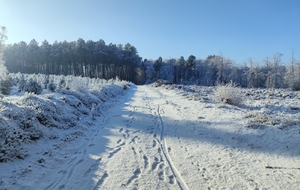 Annulation entraînements jeunes - mercredi 7