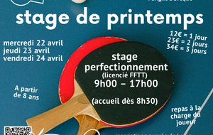 Retour sur les stages performance de printemps