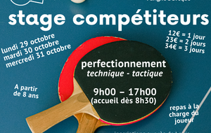 Stage perfectionnement - compétiteurs