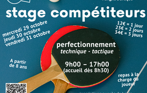Stage perfectionnement - compétiteurs