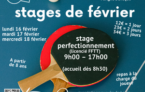 Stage Perfectionnement février 2026