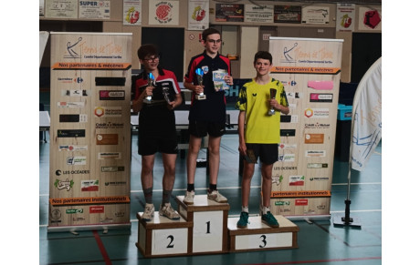 Retour sur les titres Sarthe individuels