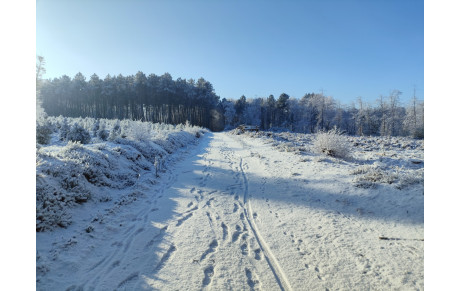 Annulation entraînements jeunes - mercredi 7